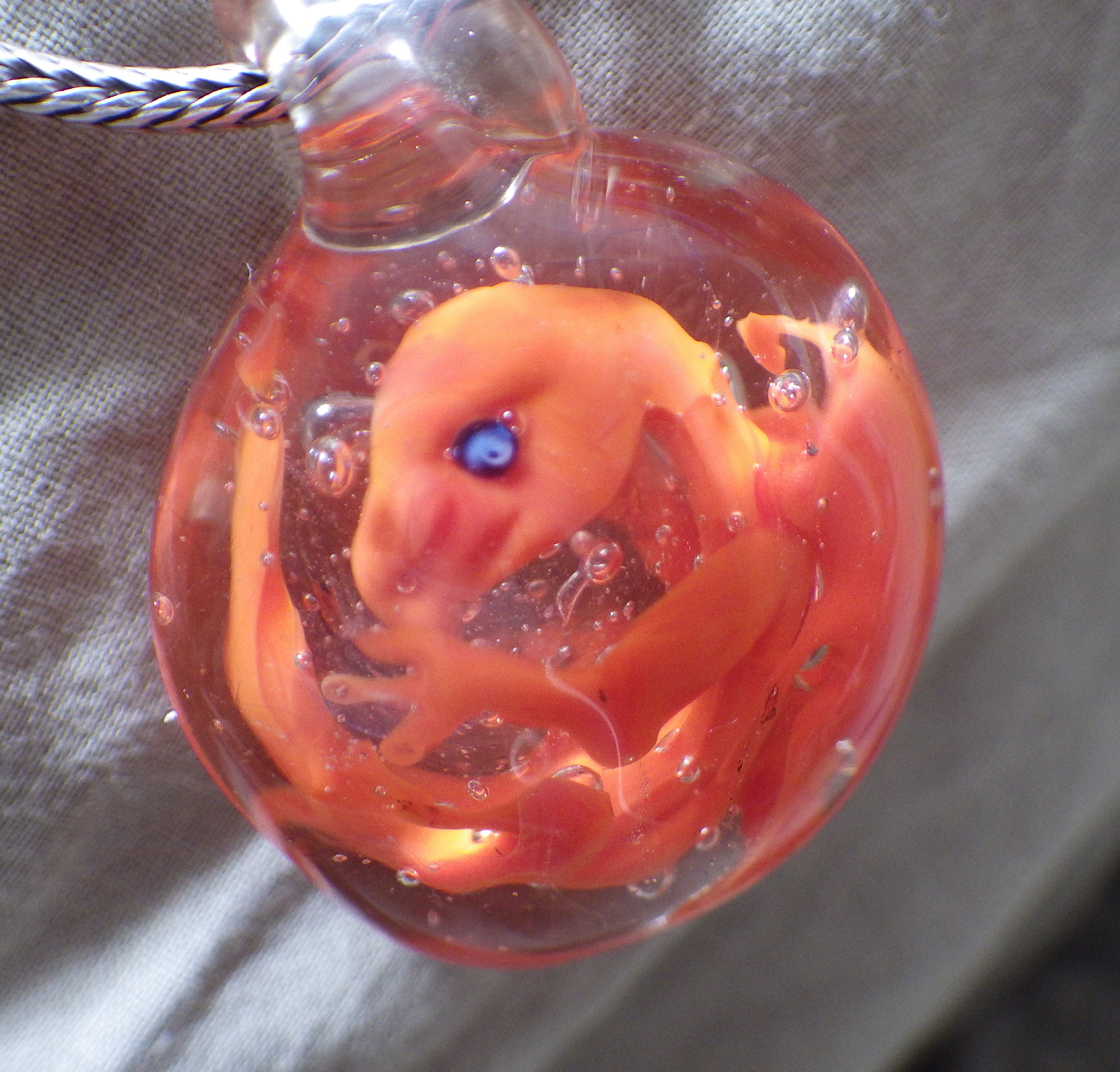 Dragon embryo