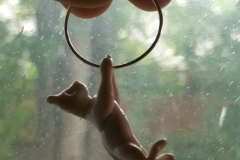 Hanging cat