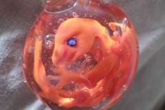 Dragon embryo
