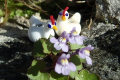 Chicken Beads